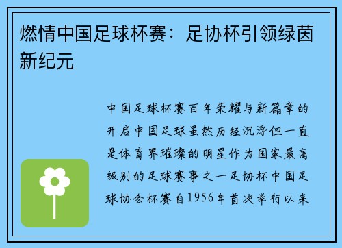 燃情中国足球杯赛：足协杯引领绿茵新纪元